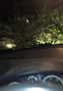 "Wind is so bad out there - nearly just got hit by a falling tree. "Outside Penpol School in Hayle. Luckily missed." "Wind is so bad out there - nearly just got hit by a falling tree. "Outside Penpol School in Hayle. Luckily missed."